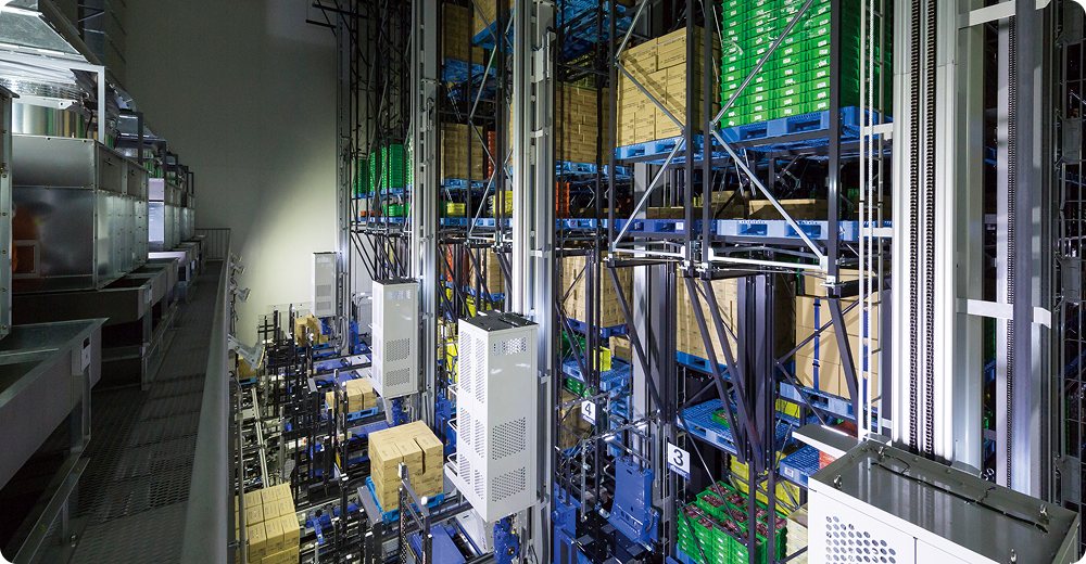 Logistics & Factory Automation Systems