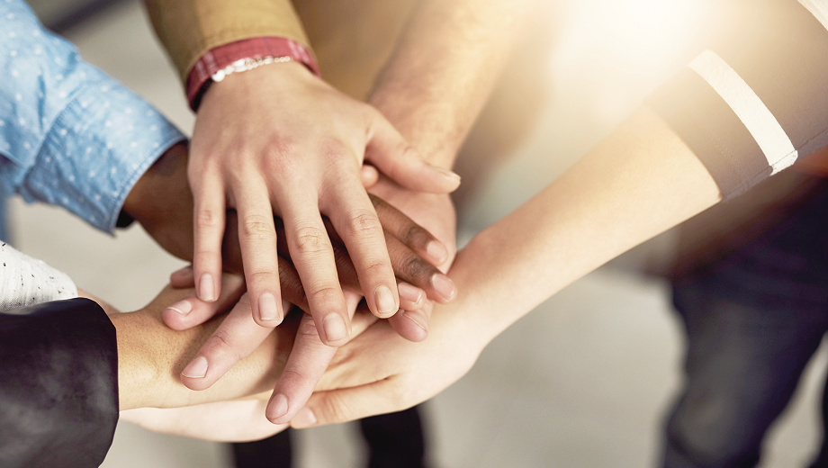 Broad Businesses and Synergies