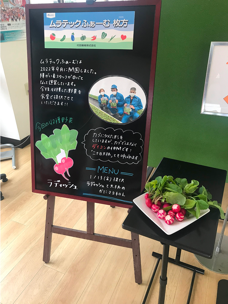 Employment of Persons with Disabilities